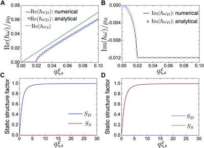 Dissipative Magnetic Soliton in a Spinor Polariton Bose–Einstein Condensate